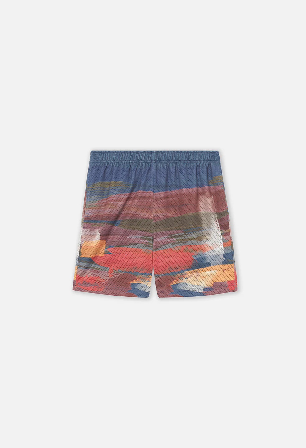 Practice Shorts / Brushstrokes
